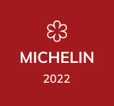 michelin logo